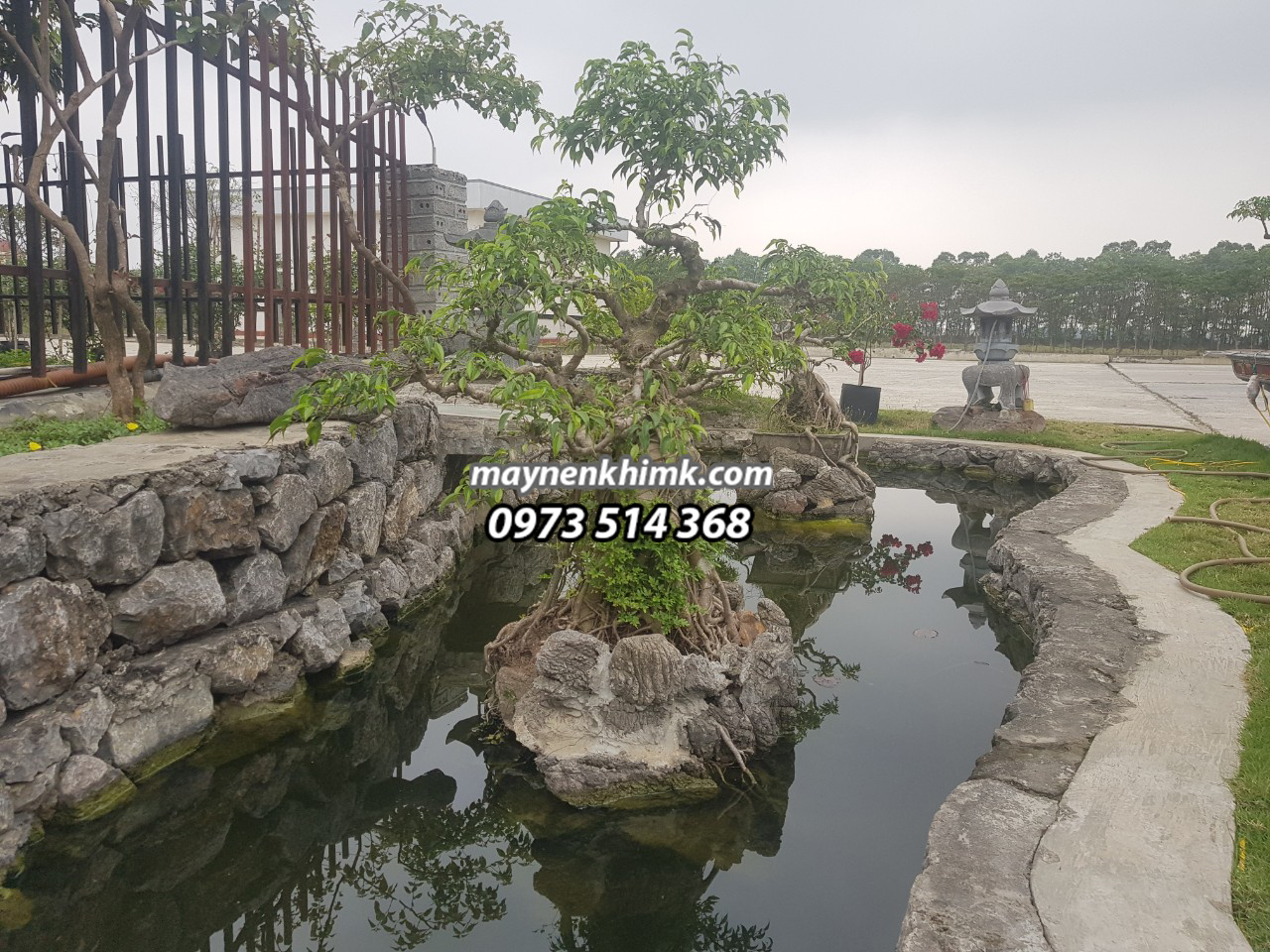 Công Ty TNHH Thực Phẩm Thiên Nhiên Xanh