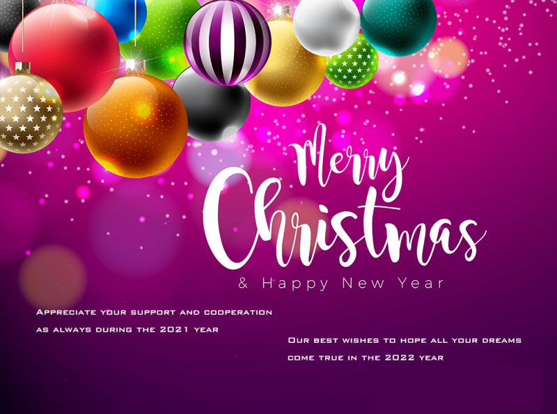 Merry Christmass & Happy New Year From Meiko Việt Nam